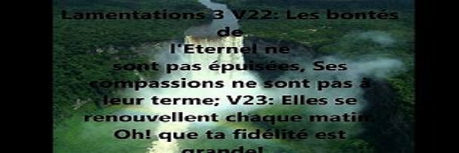 You are currently viewing FENETRE SUR L’EKKLESIA n°42: Etude sur cantique, par Olivier et L’autre Laurent