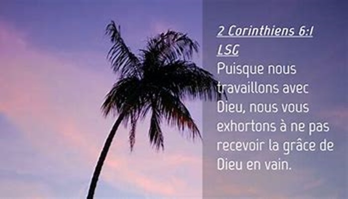 Lire la suite à propos de l’article FENETRE SUR L’EKKLESIA n°149: Etude sur cantique, par Olivier et L’autre Laurent