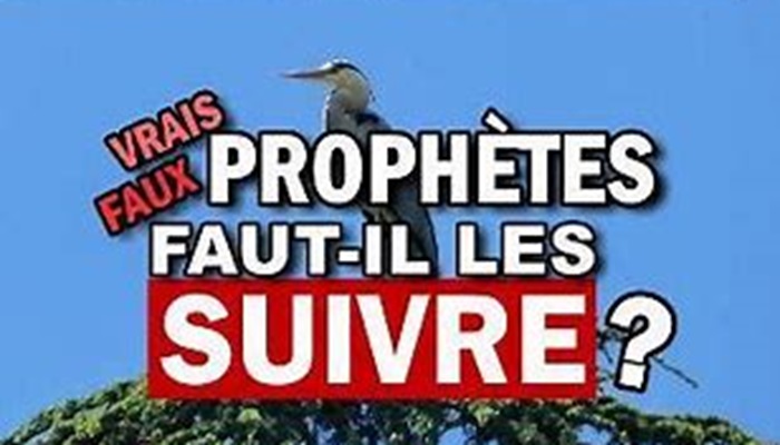 Lire la suite à propos de l’article L’IMPORTANCE DES PROPHETES ET DE LA PROPHETIE DANS LES TEMPS DERNIERS