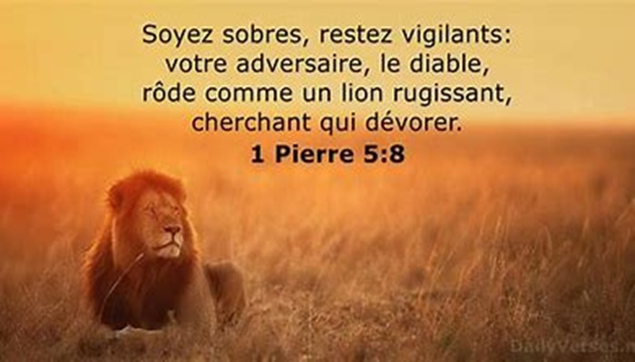 Lire la suite à propos de l’article FENETRE SUR L’EKKLESIA n°196: Etude sur cantique, par Olivier et L’autre Laurent