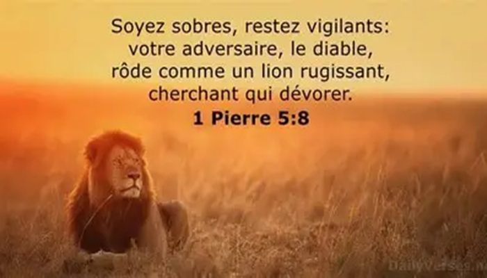 Lire la suite à propos de l’article SOIS SOBRE EN TOUTE CHOSE!