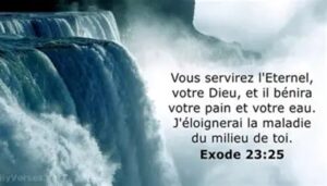 Lire la suite à propos de l’article FENETRE SUR L&rsquo;EKKLESIA n°216: Etude sur cantique, par Olivier et L&rsquo;autre Laurent.