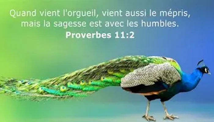 Lire la suite à propos de l’article ORGUEILLEUX COMME LE ROI OZIAS (AZARIA)