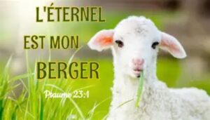 Lire la suite à propos de l’article FENETRE SUR L&rsquo;EKKLESIA n°221: Etude sur cantique, par Olivier et L&rsquo;autre Laurent