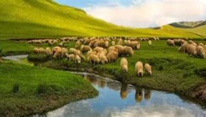 Lire la suite à propos de l’article FENETRE SUR L&rsquo;EKKLESIA n°222: Etude sur cantique, par Olivier et L&rsquo;autre Laurent