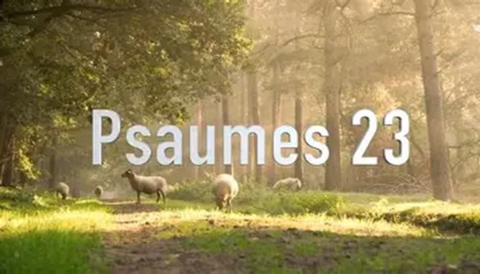 Lire la suite à propos de l’article LE BERGER, LE TROUPEAU ET LA BREBIS