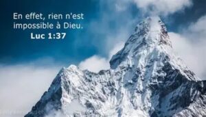 Lire la suite à propos de l’article FENETRE SUR L&rsquo;EKKLESIA n°228: Etude sur cantique, par Olivier et L&rsquo;autre Laurent.