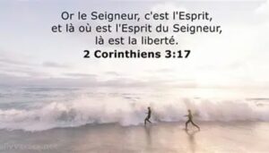 Lire la suite à propos de l’article FENETRE SUR L&rsquo;EKKLESIA n°232: Etude sur cantique, par Olivier et L&rsquo;autre Laurent.
