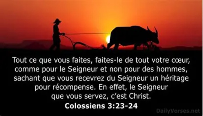 Lire la suite à propos de l’article FENETRE SUR L&rsquo;EKKLESIA n°237: Etude sur cantique, par Olivier et L&rsquo;autre Laurent.