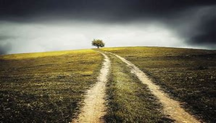 Lire la suite à propos de l’article FENETRE SUR L&rsquo;EKKLESIA n°240: Etude sur cantique, par Olivier et L&rsquo;autre Laurent.