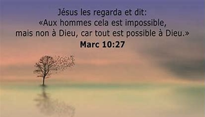 Lire la suite à propos de l’article FENETRE SUR L&rsquo;EKKLESIA n°241: Etude sur cantique, par Olivier et L&rsquo;autre Laurent.