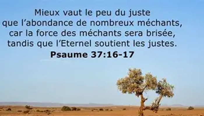 Lire la suite à propos de l’article LE DERNIER REVEIL AVANT LA FIN- 1                                 2 Rois 22-23: 1-30; 2 Chroniques 34-35: 1-27
